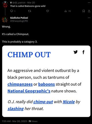 Racist term posted by Detective Popow; Source: Twitter