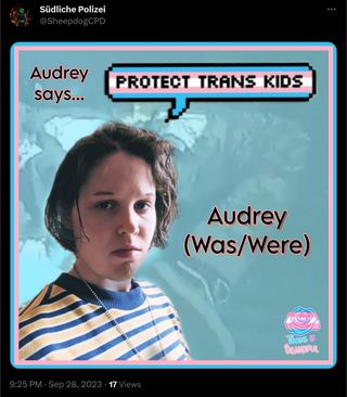 Anti-trans post; Source: Twitter
