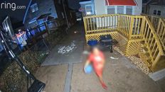 A child, face blurred out, in red T shirt with blue ball in the backyard of a Gresham home.